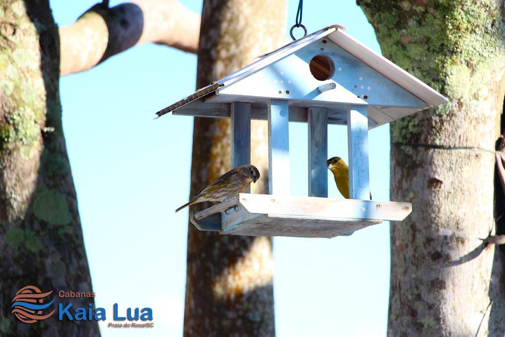 Pousada Cabanas Kaia Lua 프라이아도로사 외부 사진